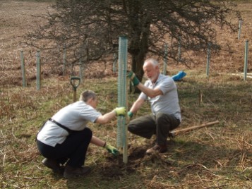 Tree planting by volunteers in the Hole of Horcum for Slowing the Flow in Pickering 2011. Copyright NYMNPA.