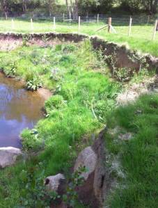 River Esk, sharp bend site - after (May 2015). Copyright Wild Trout Trust.