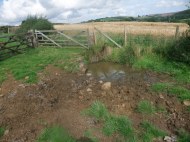 This livestock watering point had become poached (churned up by the livestock) and fine sediment along with livestock excreta could therefore enter the watercourse). Copyright NYMNPA.