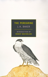 Front cover of The Peregrine by J A Baker (HarperCollins)
